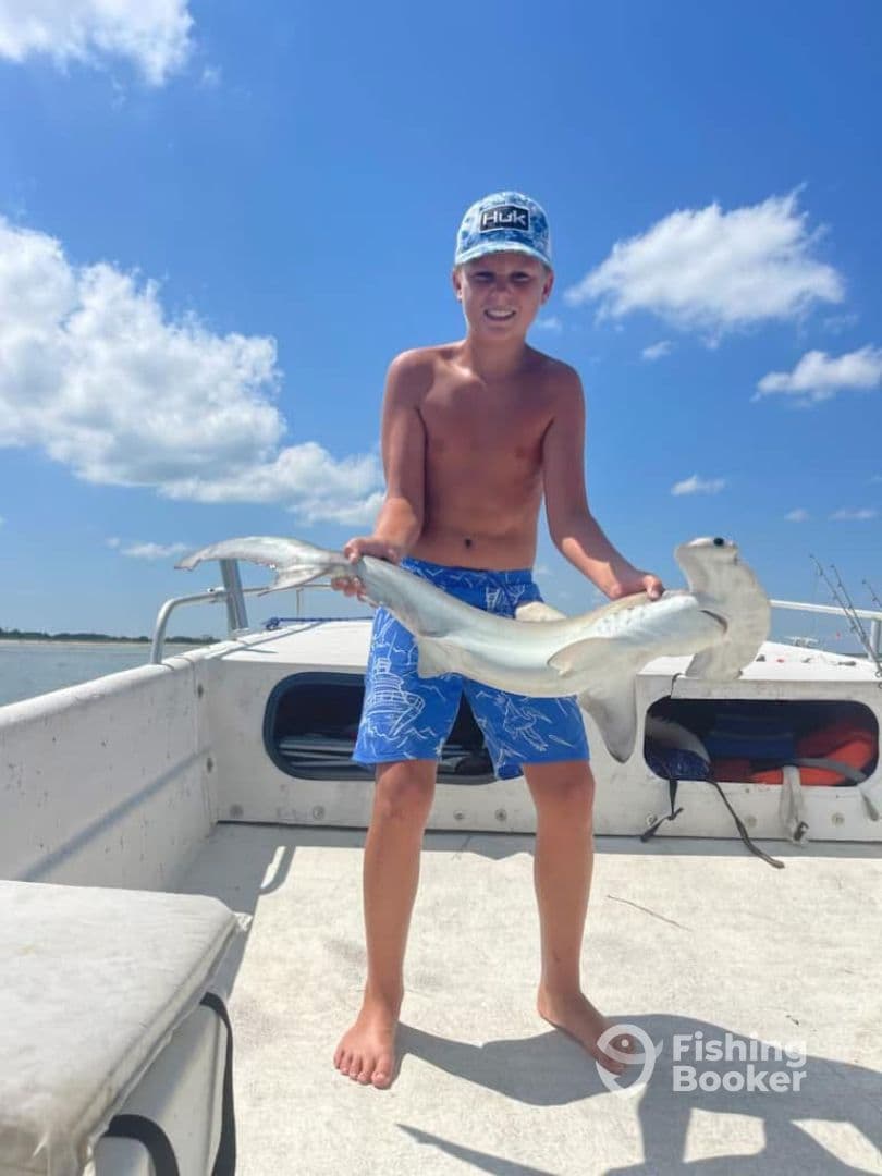 Shark fishing